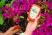 pH метр цифровой для почвы Luster Leaf Rapitest Plus 1847