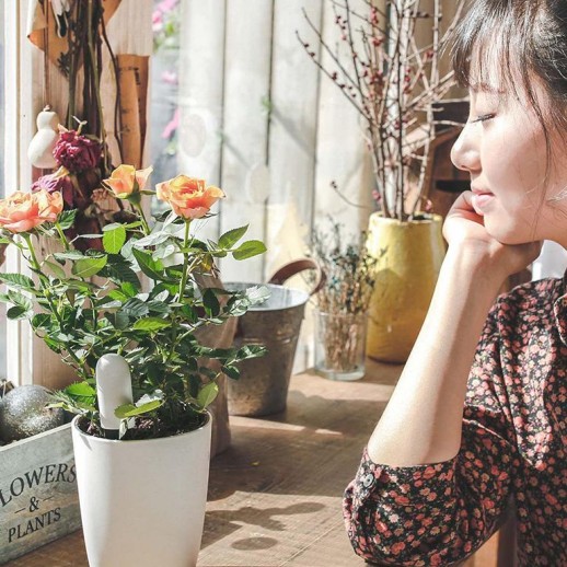 Xiaomi_Smart_Flower_Monitor_5.jpg