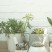 Прибор контроля параметров почвы 4 в 1 Xiaomi Smart Flower Monitor