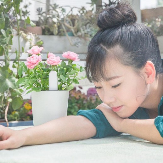 Xiaomi_Smart_Flower_Monitor_7.jpg