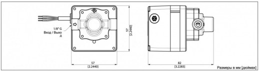 Шестеренный насосно-моторный агрегат 24 VDC с магнитным приводом Fluid-o-Tech серия FG100