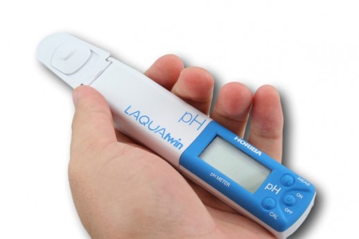 LAQUAtwin_pH_meter_PH-22_in_hand_2.jpg